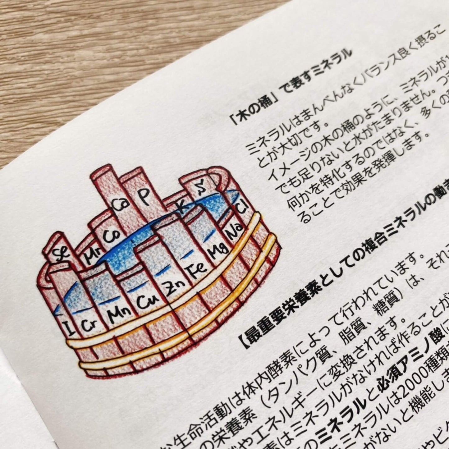 パーフェクト・ミネラルリーフレット