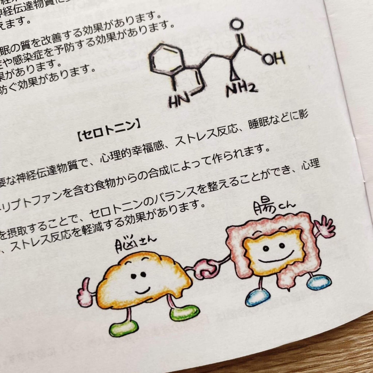 パーフェクト・ミネラルリーフレット