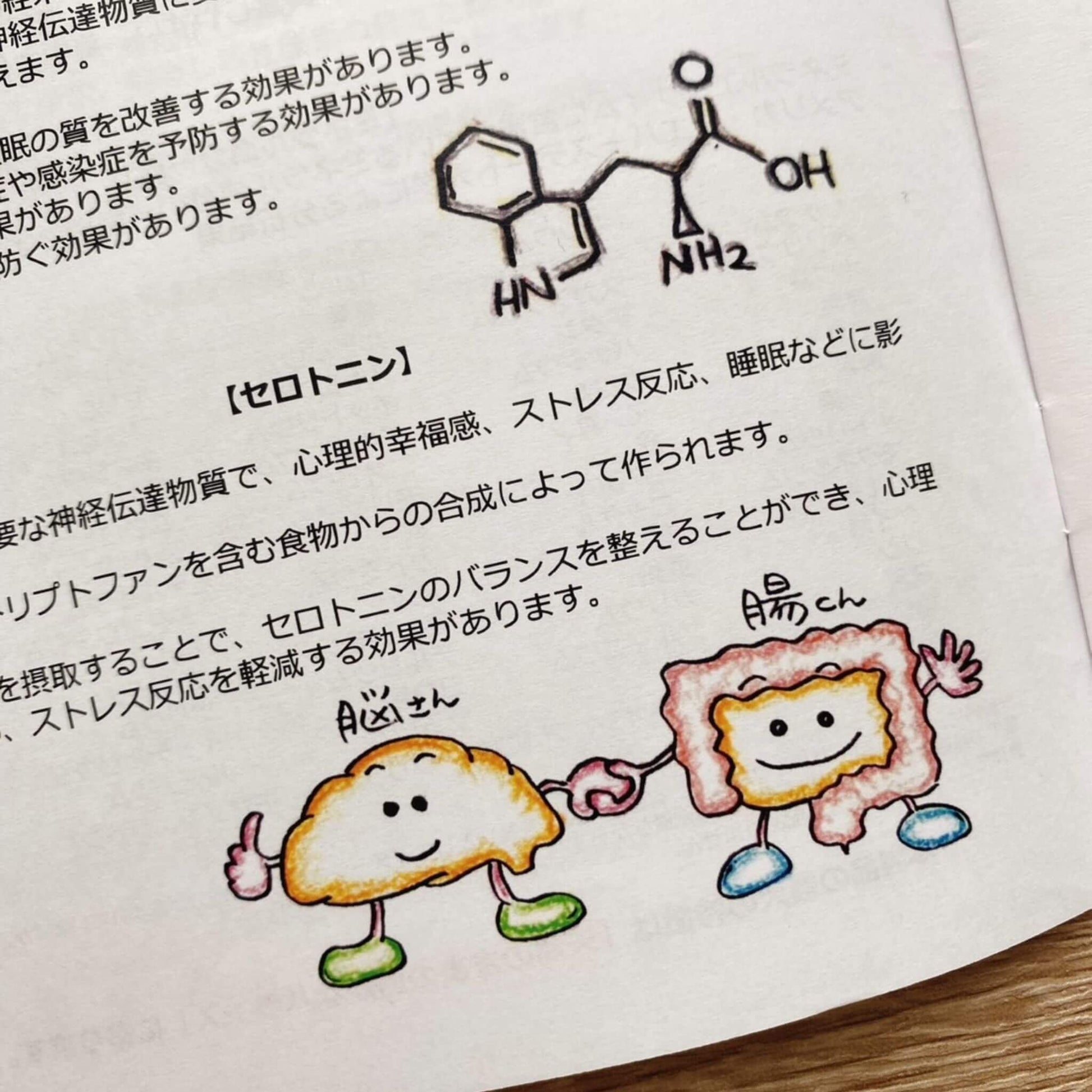 パーフェクト・ミネラルリーフレット