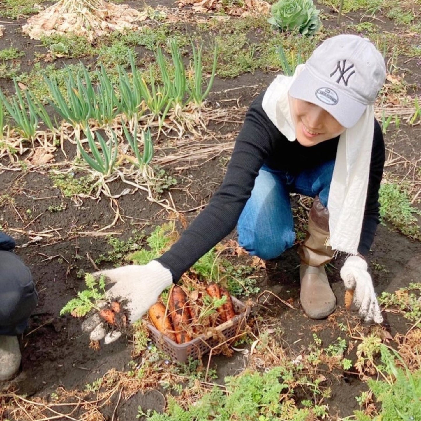 【お野菜ヒーリング】