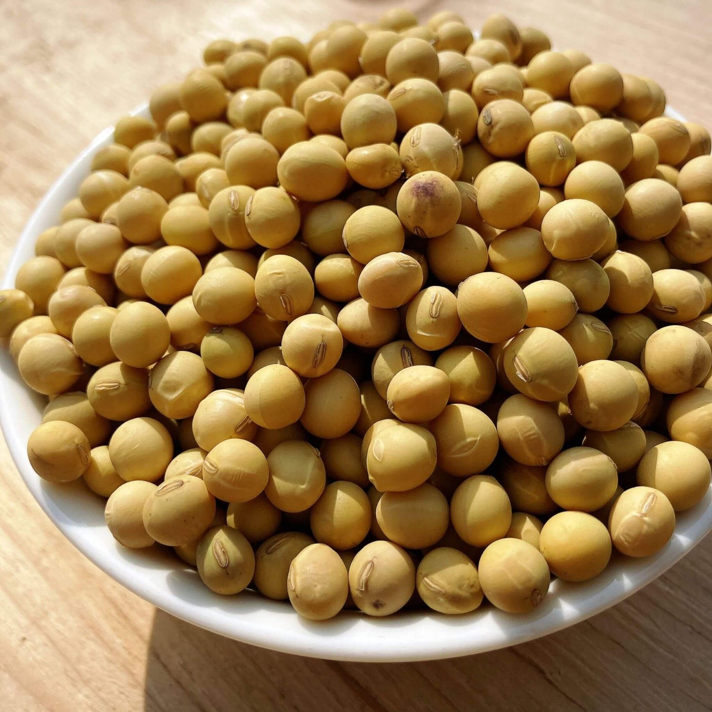 2024年度産 大豆 【げんき大豆】300g