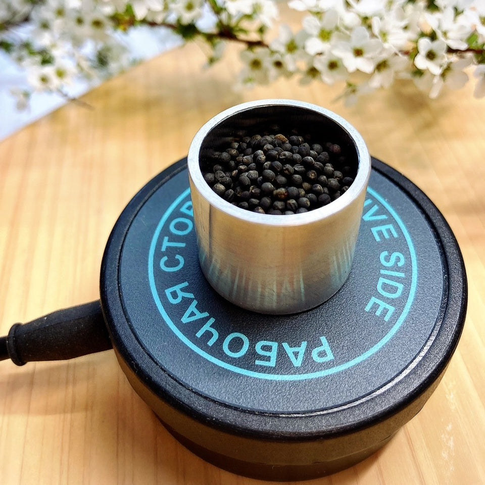 食べると幸せになるお野菜を育てよう!【周波数転写サービス】