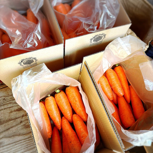 箱詰めしたおいしいにんじん