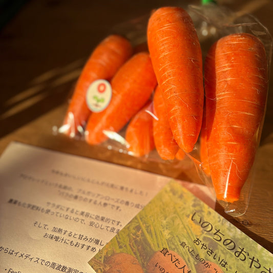 いのちのおやさいのおいしいにんじん
