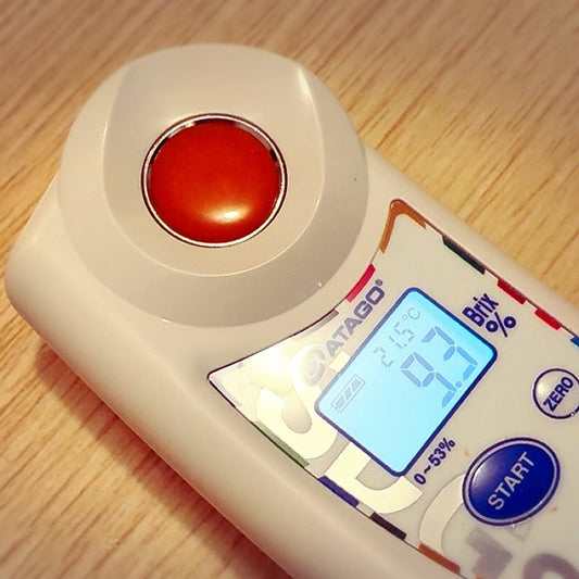 人参の糖度測定