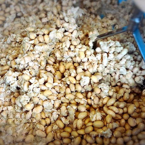 大豆を潰しているところ