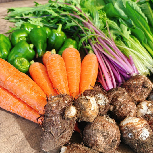 いのちのおやさいたち