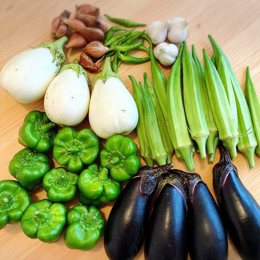 幸せ周波数のお野菜 「いのちのおやさいセット」